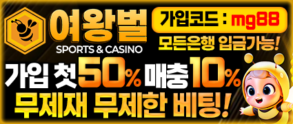 메이저 토토사이트 여왕벌